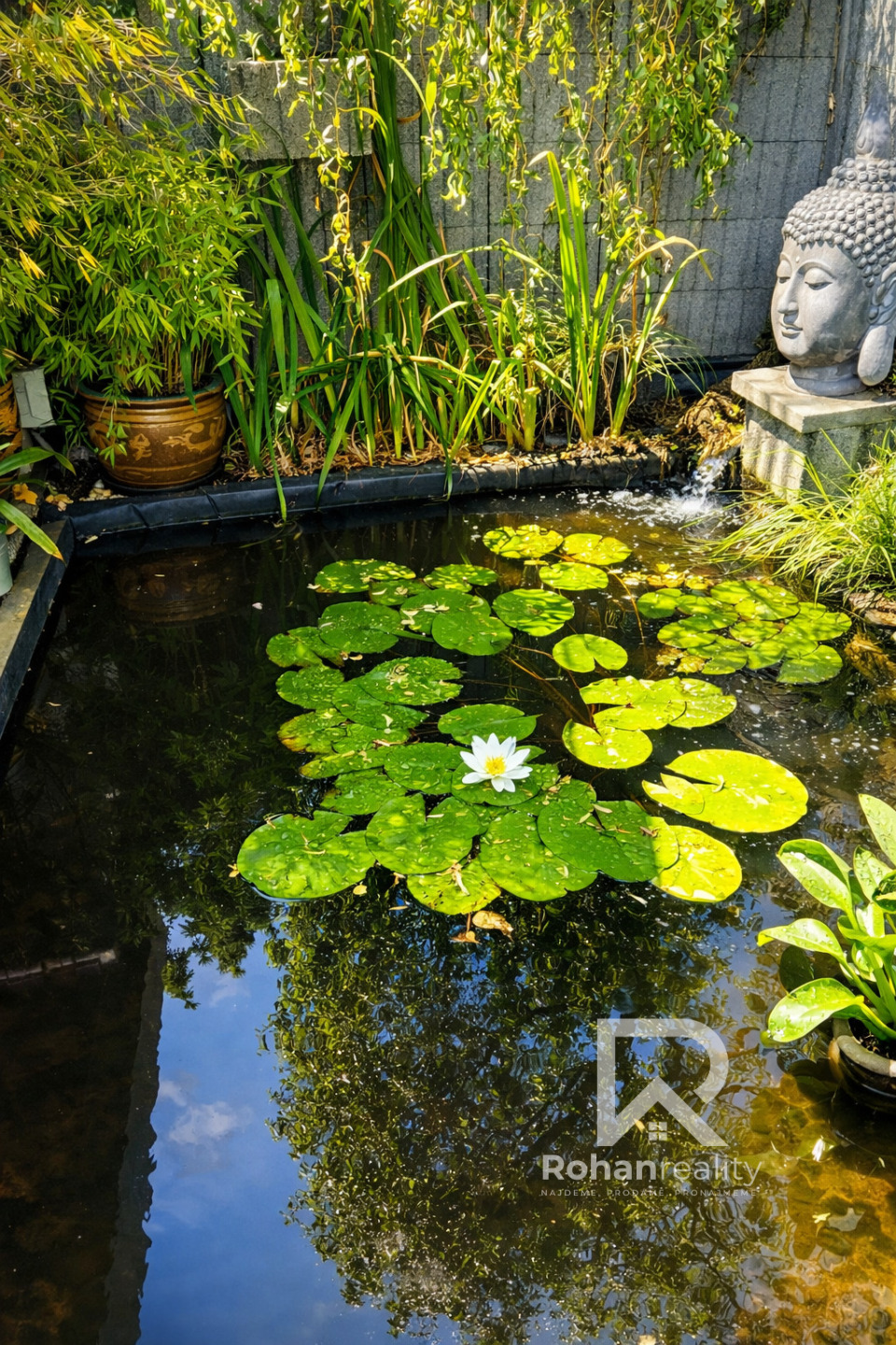 Fotku se nepodařilo načíst.