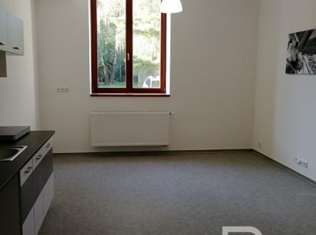 Pronájem bytu, 2+kk, 48 m²
