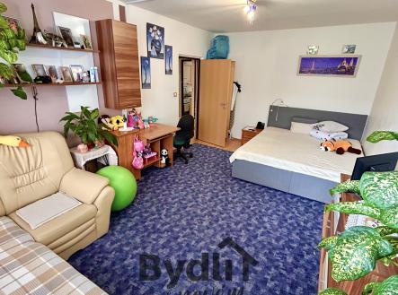 Prodej bytu, 2+1, 58 m² obrázek