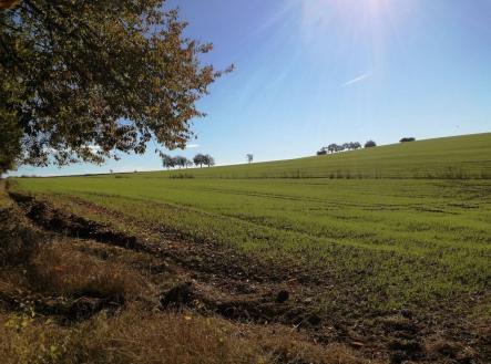 Prodej pozemku pro bydlení, 926 m²