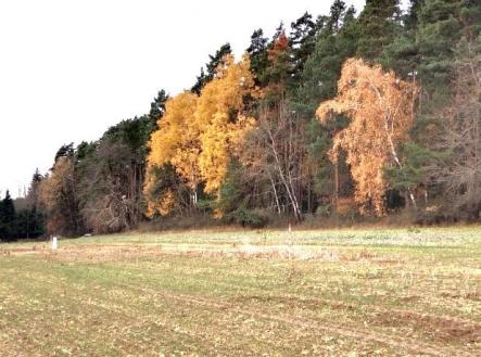 Prodej pozemku pro bydlení, 2 775 m²