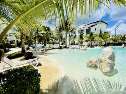 Orchid Casel de Paradise.