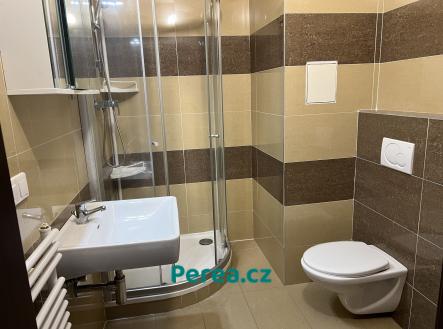 Pronájem bytu, 1+kk, 40 m²