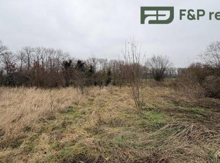 Prodej pozemku pro bydlení, 2 503 m²