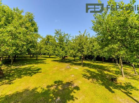 Prodej pozemku pro bydlení, 1 030 m²