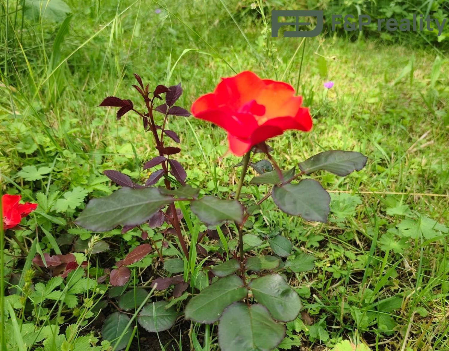 Prodej byt 3 + 1, 89㎡|Jihočeský kraj, Písek, Čimelice, 1, 39804