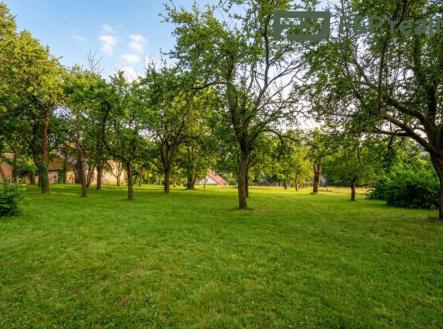 Prodej pozemku pro bydlení, 1 000 m²