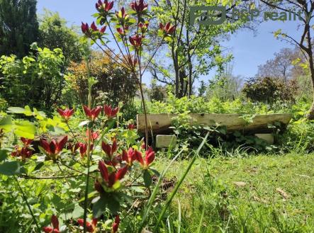 Prodej bytu, 2+1, 52 m²