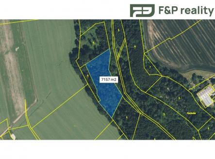 Prodej pozemku, les, 8 286 m²