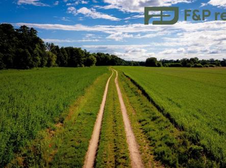 Prodej pozemku, zemědělská půda, 26 000 m²