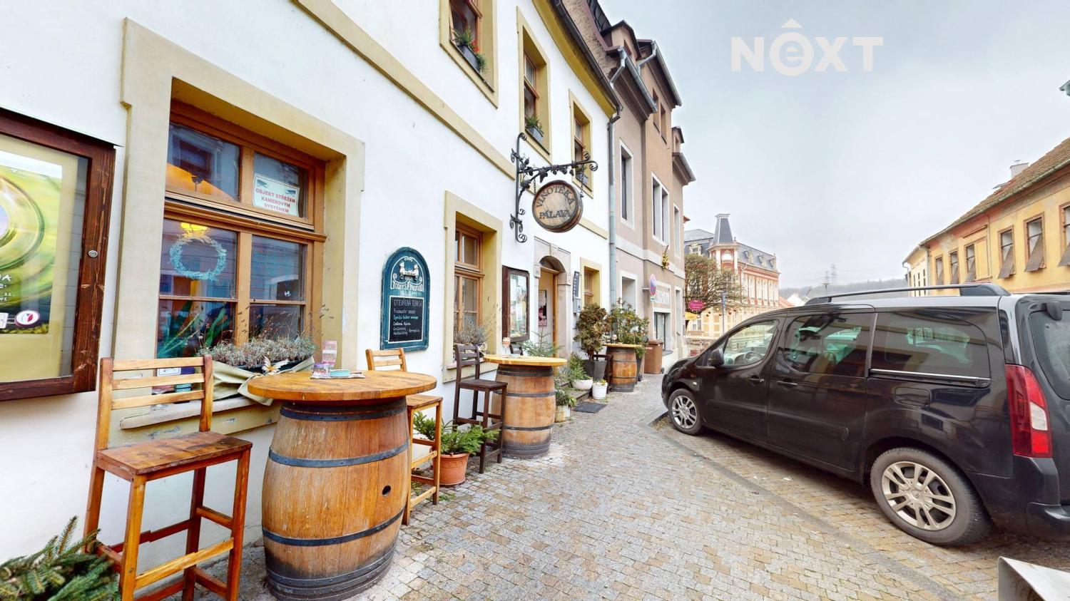 Pronájem Vícegeneracní dům, 296㎡