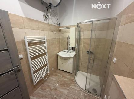 Pronájem bytu, 1+kk, 25 m²