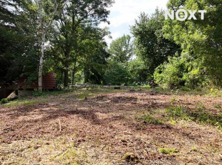 Prodej pozemku pro bydlení, 2 894 m²