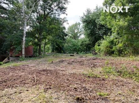 Prodej pozemku pro bydlení, 2 894 m²