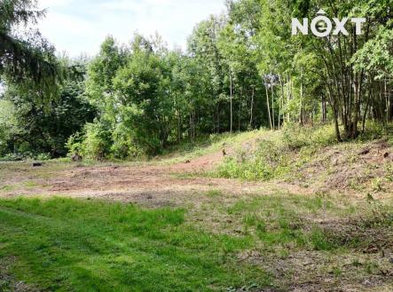 Prodej pozemku pro bydlení, 2 894 m²