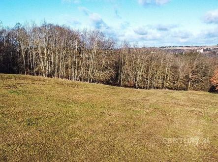 Prodej pozemku, trvalý travní porost, 27 014 m²