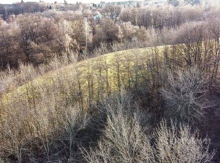 Prodej pozemku, trvalý travní porost, 27 014 m²