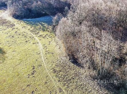 Prodej pozemku, trvalý travní porost, 27 014 m²