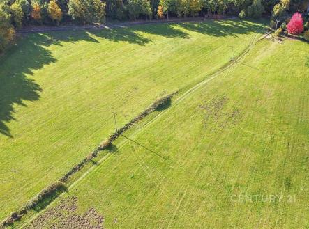 Pronájem pozemku, trvalý travní porost, 29 836 m²