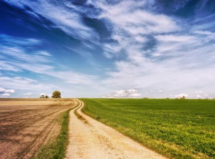 Pronájem pozemku pro bydlení, 10 000 m²