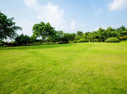 Pronájem pozemku pro bydlení, 10 000 m²