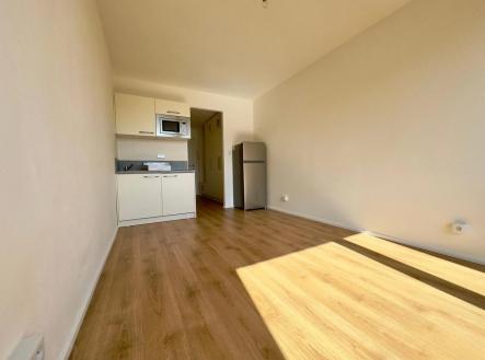 Pronájem bytu, 1+kk, 28 m²