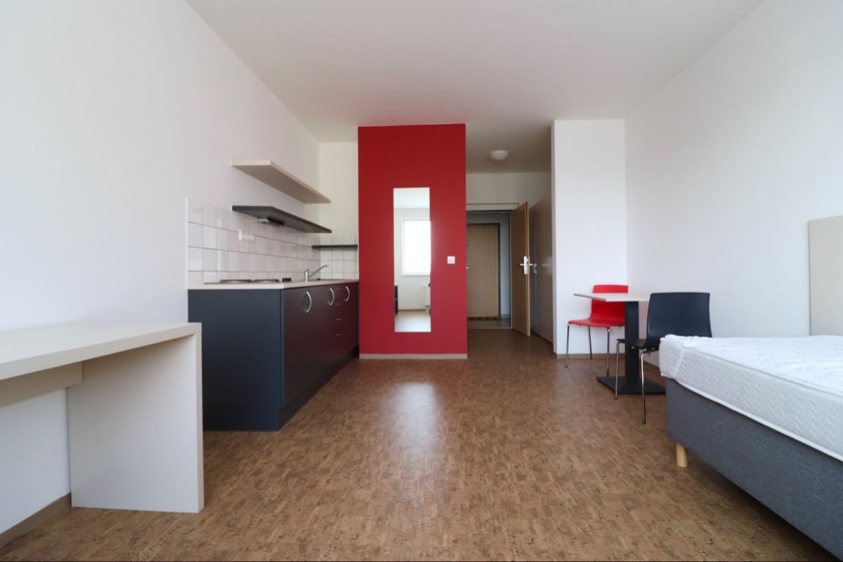 Fotku se nepodařilo načíst.