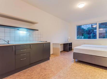 Pronájem bytu, atypický, 30 m²
