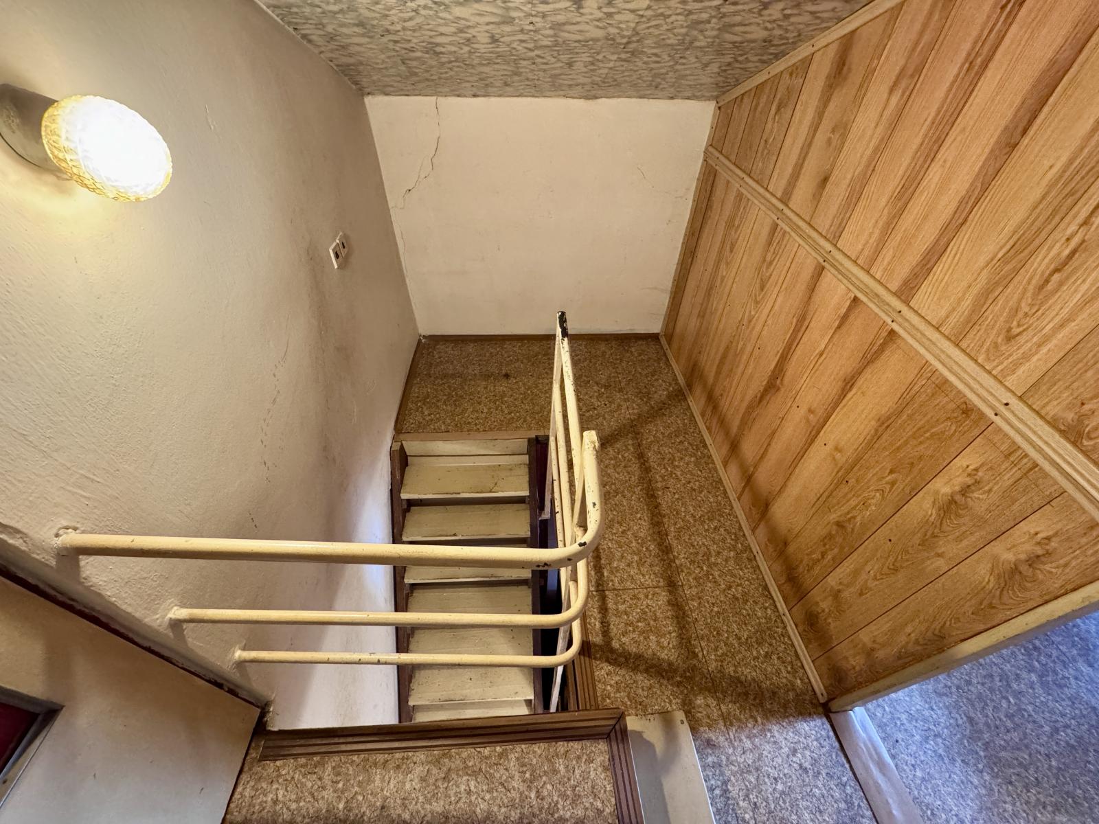 Fotku se nepodařilo načíst.