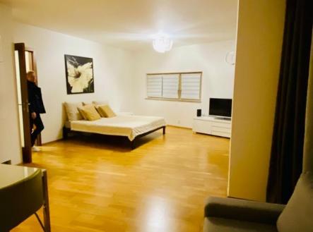 Pronájem bytu, 1+kk, 67 m²