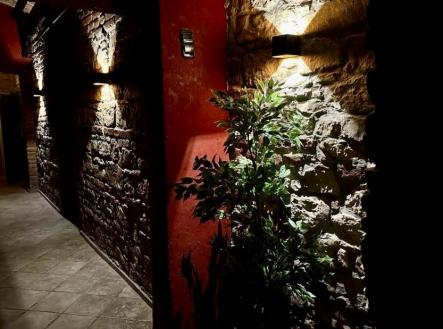 Pronájem obchodní prostor, 200 m²