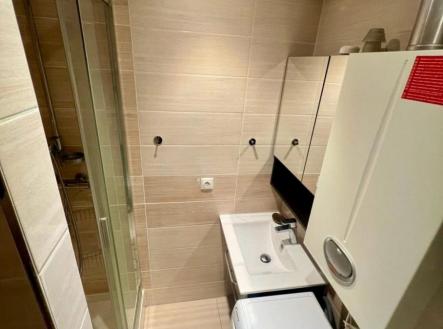 Pronájem bytu, 2+1, 45 m²