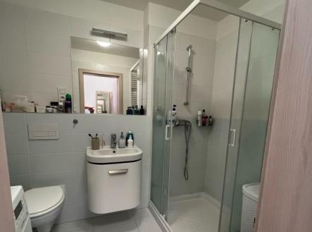 Prodej bytu, 1+kk, 28 m²