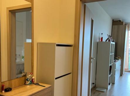 Prodej bytu, 1+kk, 28 m²