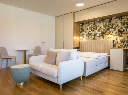 Pronájem bytu, 1+1, 43 m²