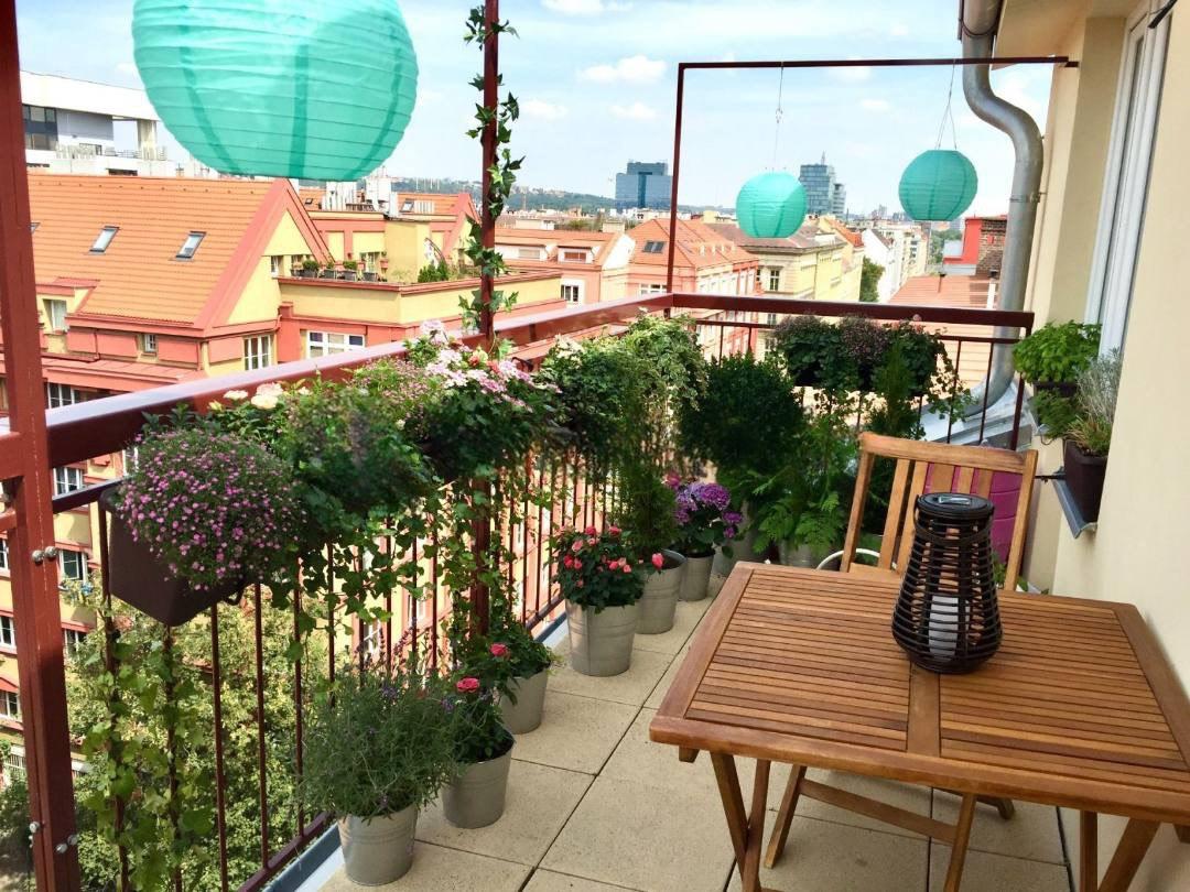 Fotku se nepodařilo načíst.