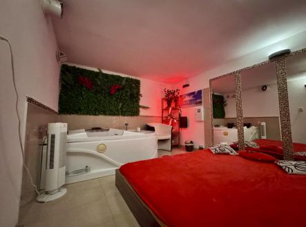 Pronájem obchodní prostor, 100 m²