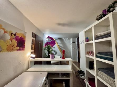 Pronájem obchodní prostor, 100 m²