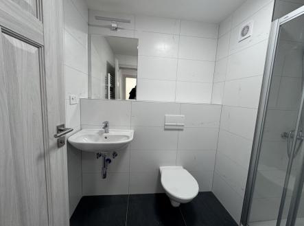 Pronájem bytu, 1+kk, 26 m²