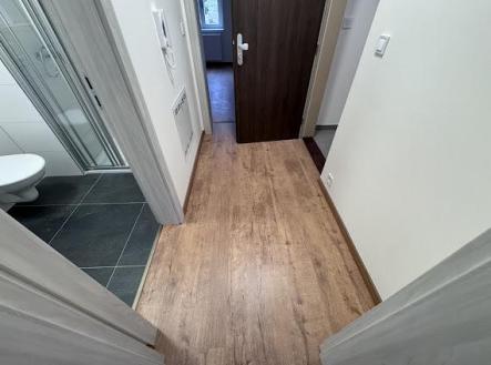 Pronájem bytu, 2+kk, 44 m²