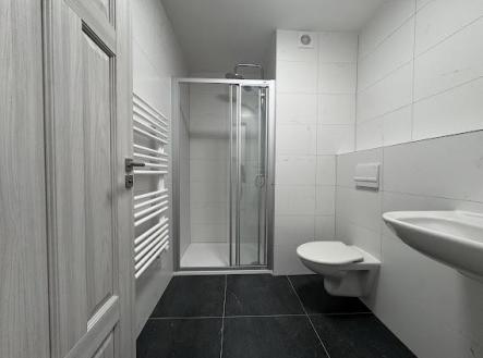 Pronájem bytu, 1+kk, 39 m²