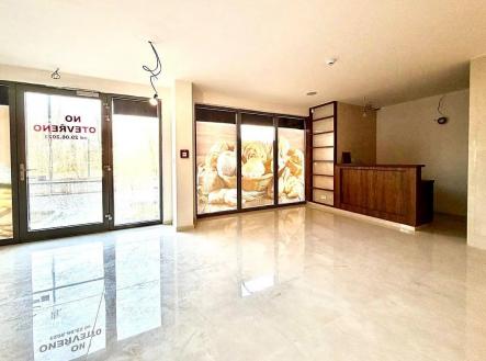 Prodej obchodní prostor, 73 m²