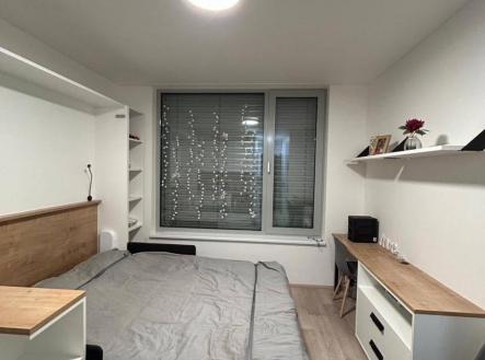 Pronájem bytu, 1+kk, 20 m²