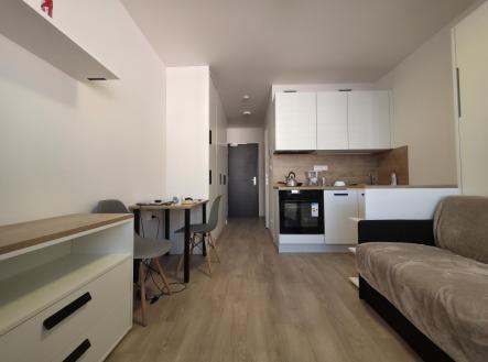 Pronájem bytu, 1+kk, 20 m²