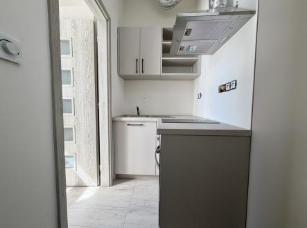 Pronájem bytu, 1+1, 174 m²