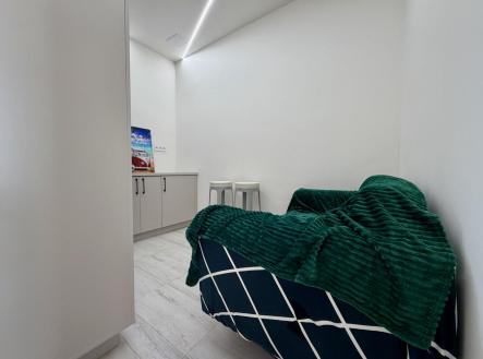 Pronájem bytu, 1+1, 174 m²
