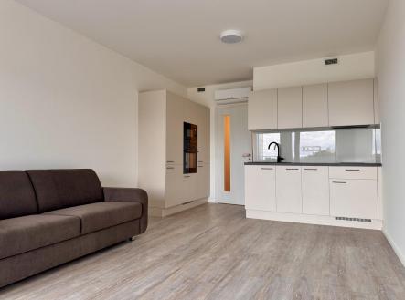 Pronájem bytu, 1+kk, 40 m²