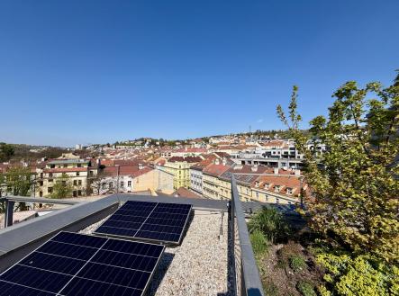 Pronájem bytu, 1+kk, 20 m²