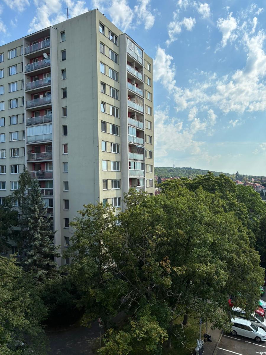Fotku se nepodařilo načíst.