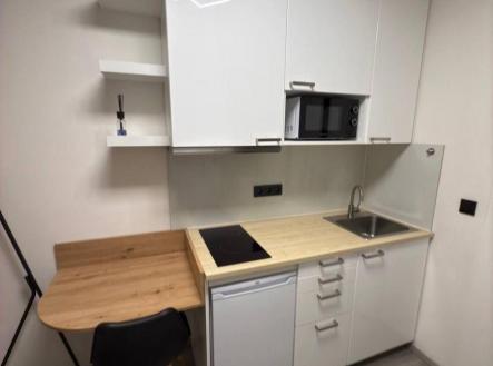 Pronájem bytu, 1+kk, 12 m²
